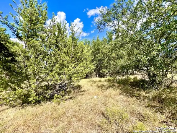 Blanco, TX 78606,140 N CALVIN BARRETT