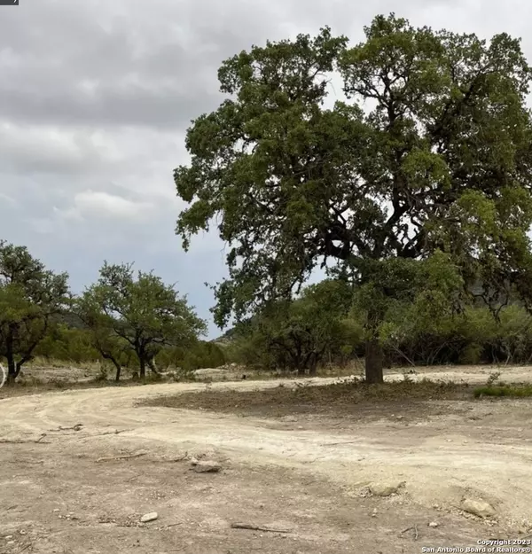 Leakey, TX 78873,298 CAMINO DE PASO