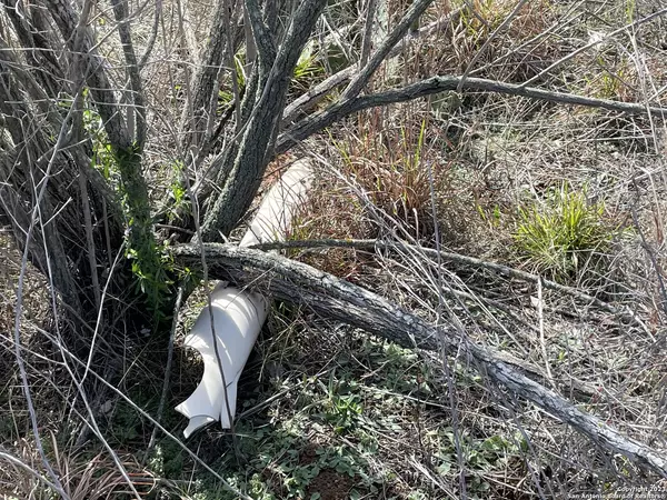 Adkins, TX 78101-1901,14014 US Highway 87 S