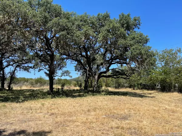 Leakey, TX 78873,125 Mountain St