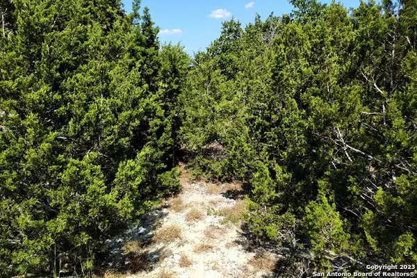 Canyon Lake, TX 78133,1151 ROCKY RIDGE LOOP