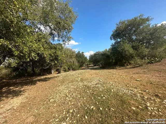 000 Adkins-St. Hedwig Road, St Hedwig, TX 78152