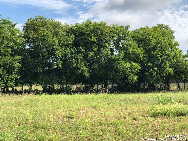Schertz, TX 78154,2032 Breton Pass