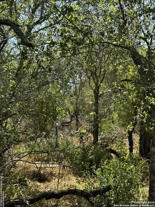 5958 Cr 405, Floresville, TX 78114