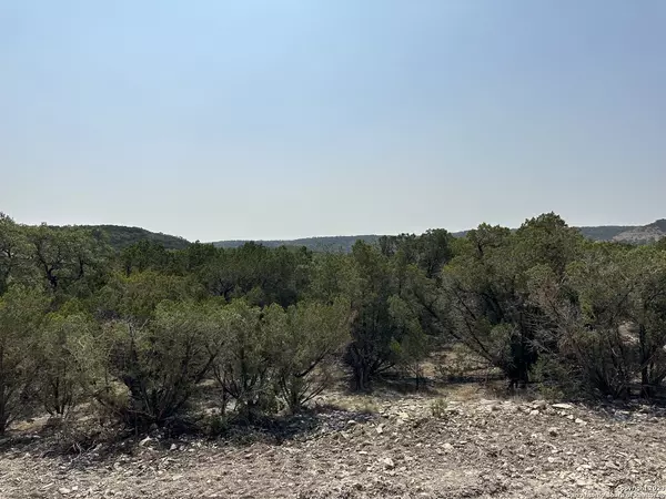 Canyon Lake, TX 78133,540 Sendera Valley Drive