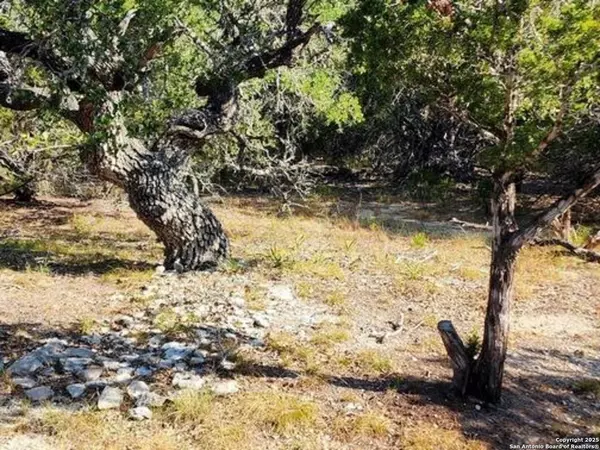 Spring Branch, TX 78070-6435,3196 HAWTHORNE RD