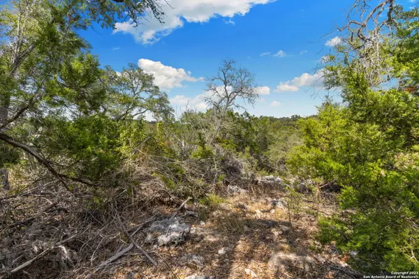 New Braunfels, TX 78132,1472 Stahlman Way