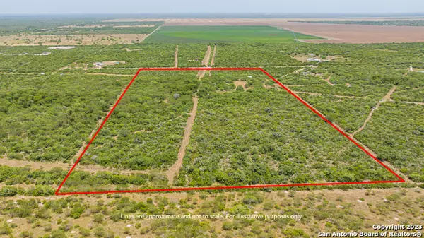 Skidmore, TX 78389,32 ACRES Corrigan Rd