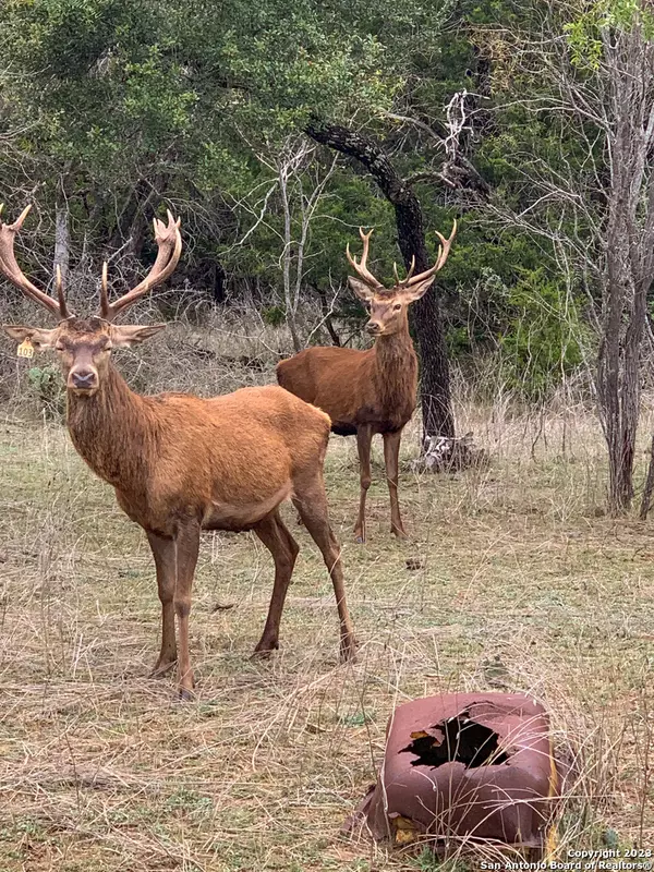 Lampasas, TX 76550,000 South Hwy 281