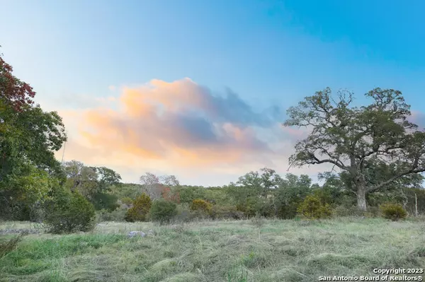 Spring Branch, TX 78070-5032,455 RED ROSE ST