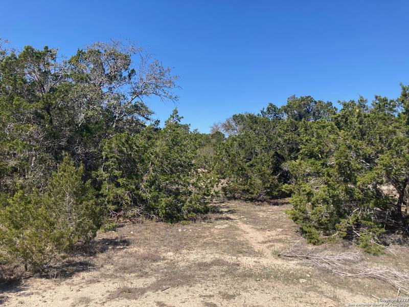 LOT 36 CLIFF DR, Spring Branch, TX 78070