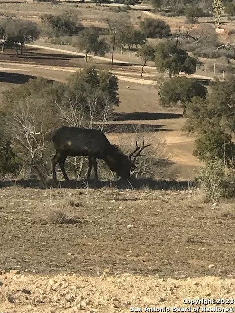 Pipe Creek, TX 78063,LOT 78 Oryx St.