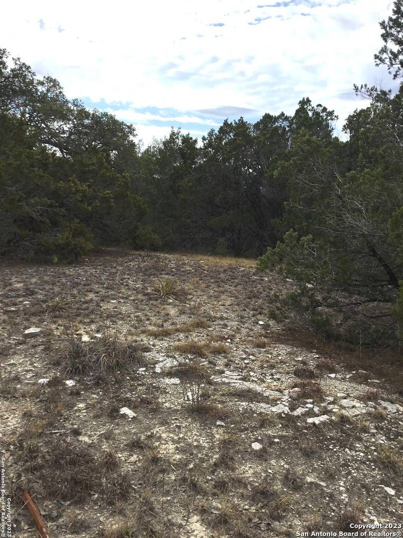 Spring Branch, TX 78070,101 Stallion Estates Dr