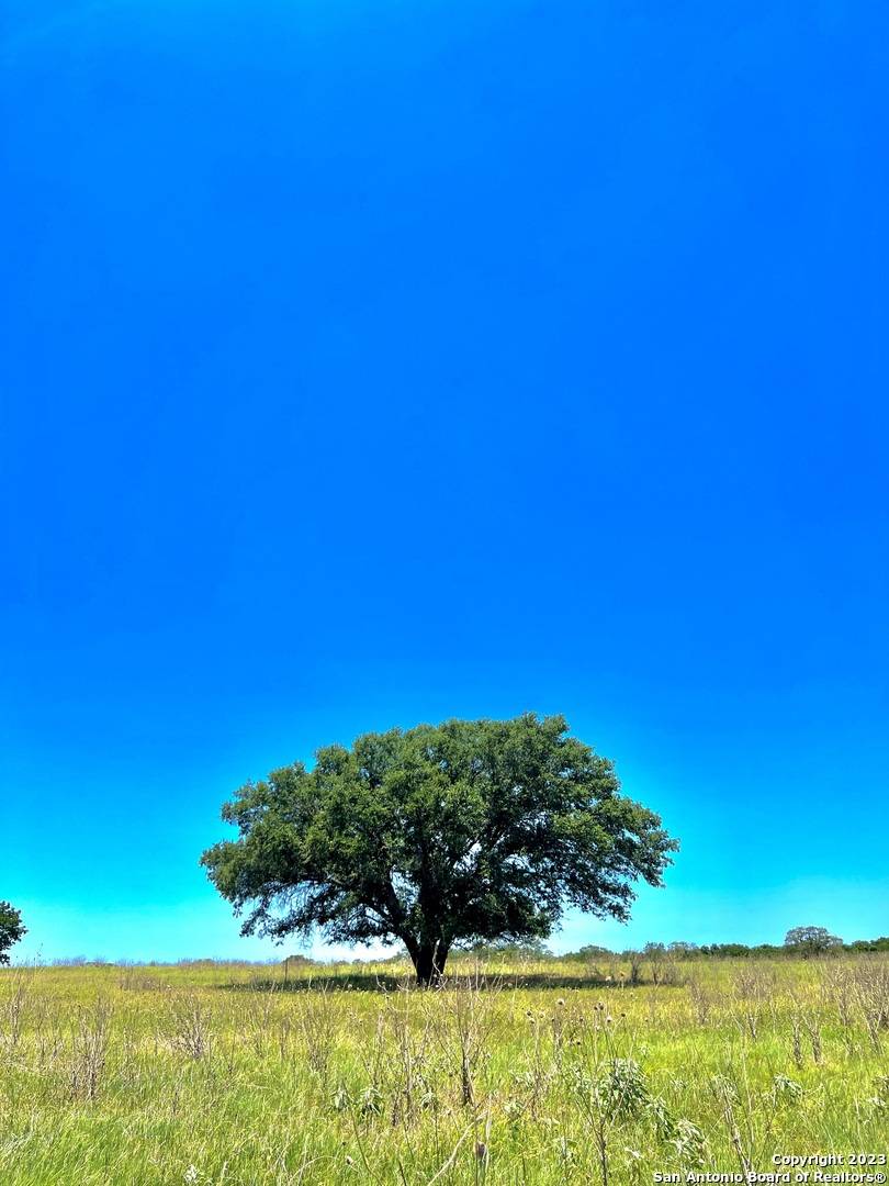 Luling, TX 78648,4869 Tenney Creek Rd