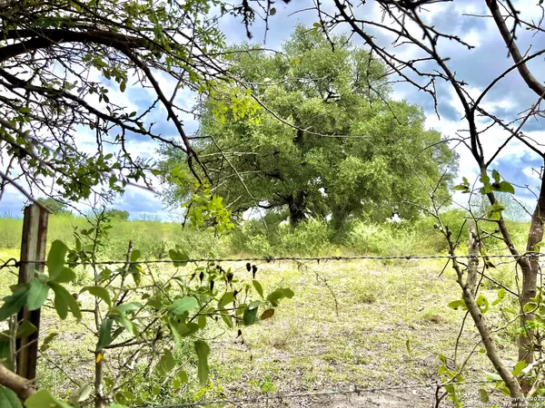 Smiley, TX 78164,TRACT H FM 108