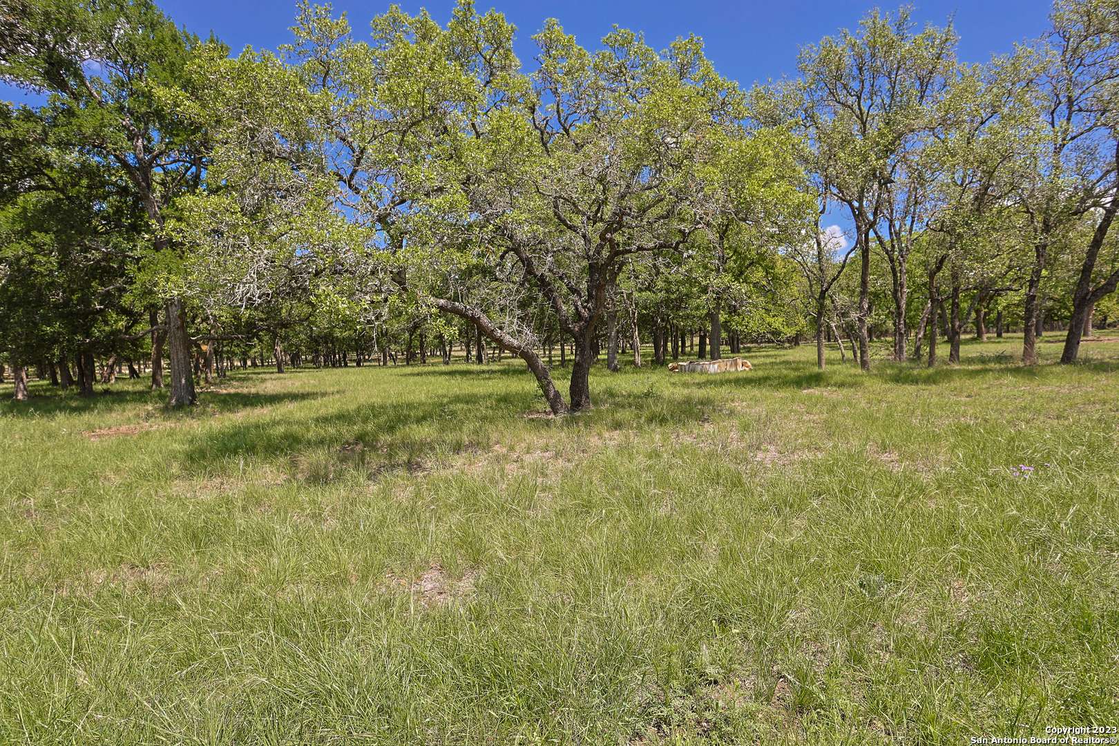 Bulverde, TX 78163,32539 Tierra Robles Drive