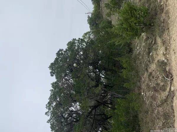 Bandera, TX 78003,LOT 463 Topside