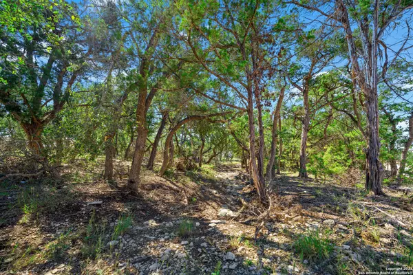 Bulverde, TX 78163,34720 Ansley Ridge Trail
