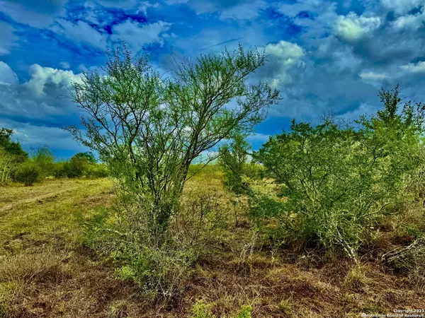 Mineral, TX 78102,0 County Road 115