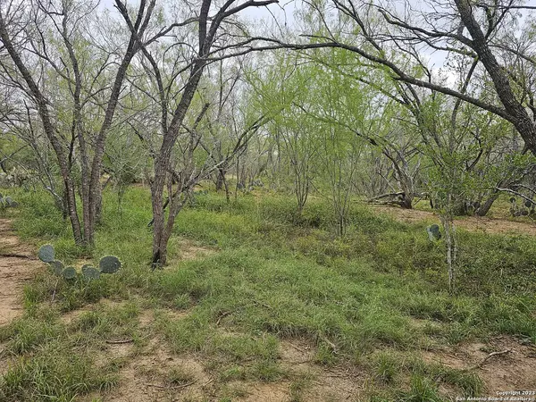 Leming, TX 78050,145 Sylas Hayes Loop