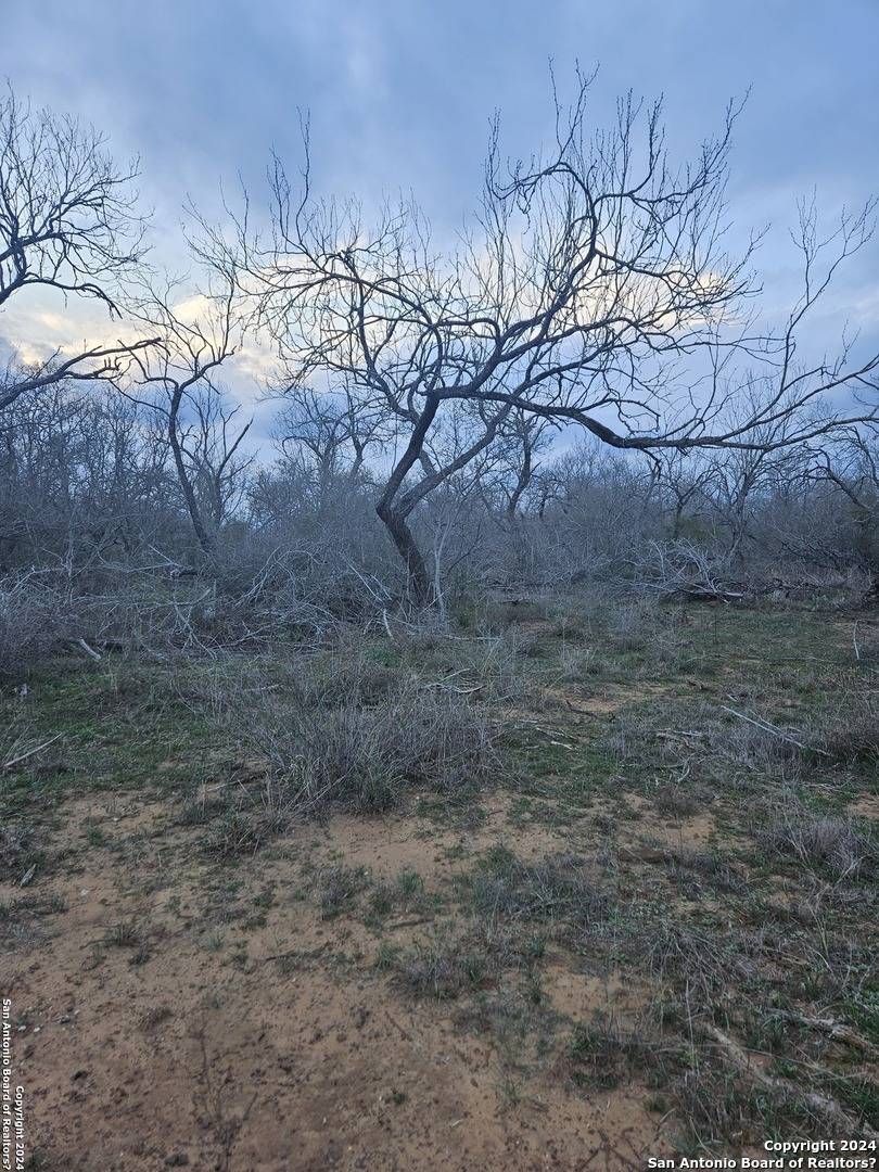 Floresville, TX 78114,1875 CR 168