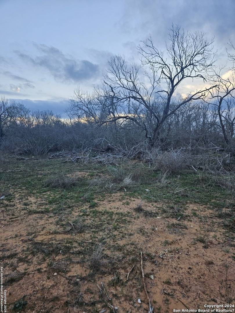 Floresville, TX 78114,1875 CR 168