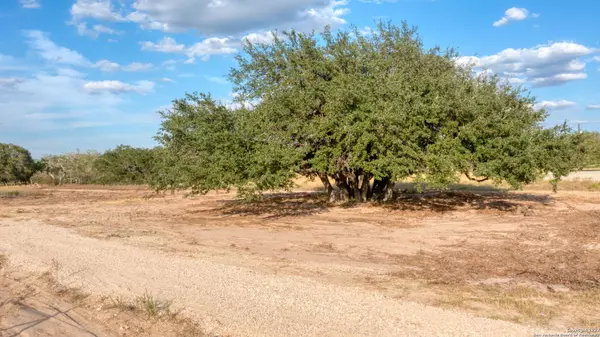 Natalia, TX 78059,255 Stallion Trail