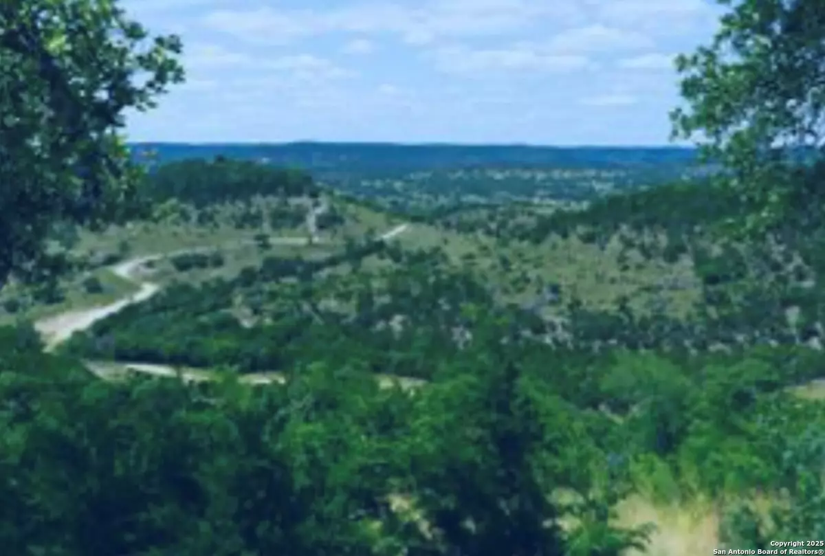 Pipe Creek, TX 78063,TBD Blackbuck Trail