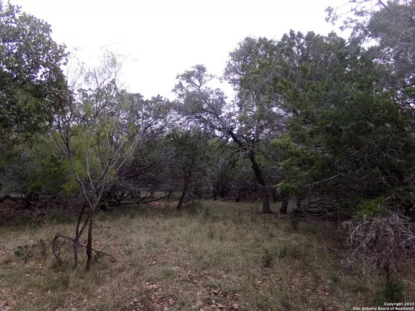 Concan, TX 78838,95 Mountain Valley Dr