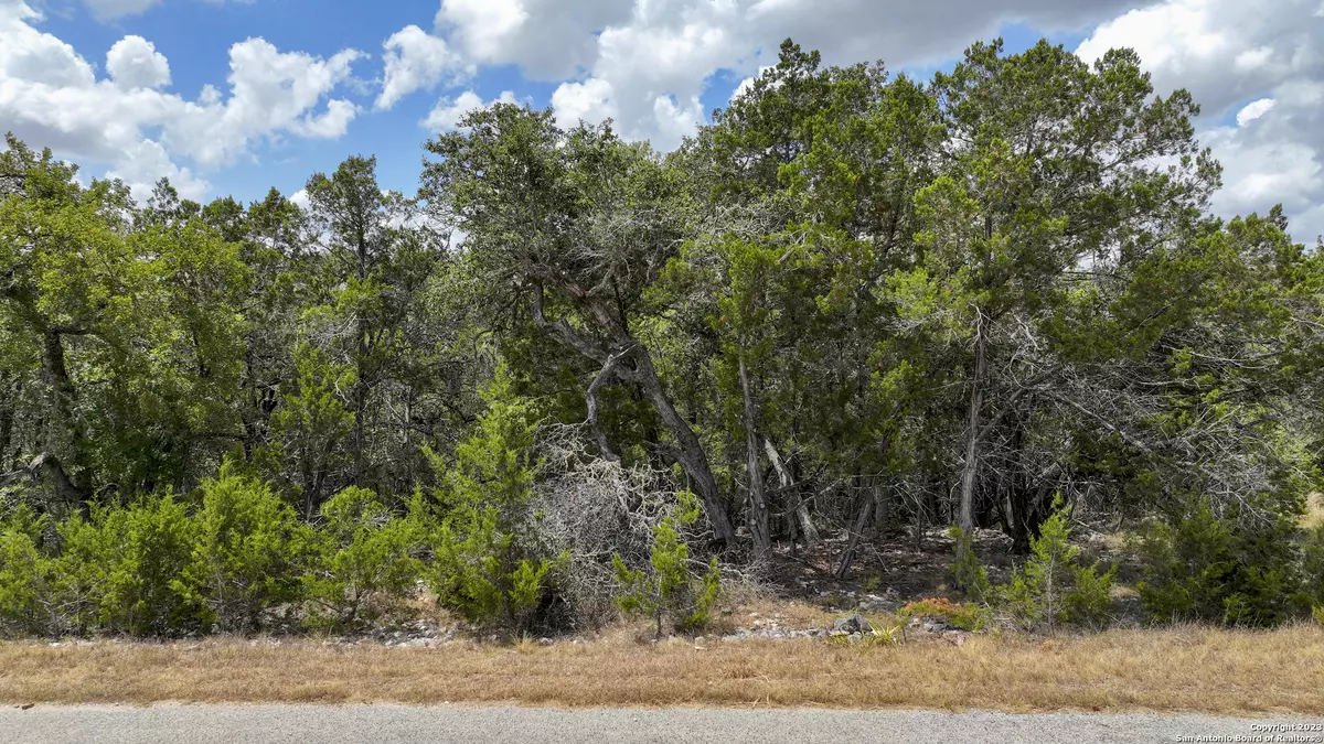 Spring Branch, TX 78070,173 PALM