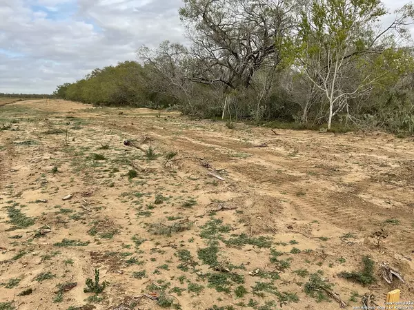 Leming, TX 78064,137 Sylas Hayes Loop