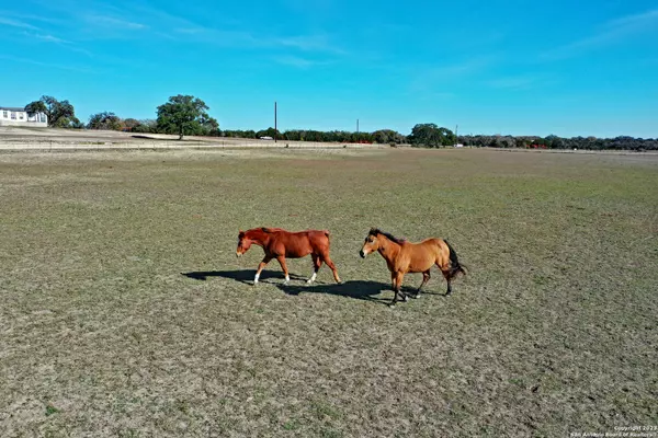 Bandera, TX 78003-5038,0 STATE HIGHWAY 173