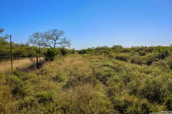 Alice, TX 78332,TBD CR-170