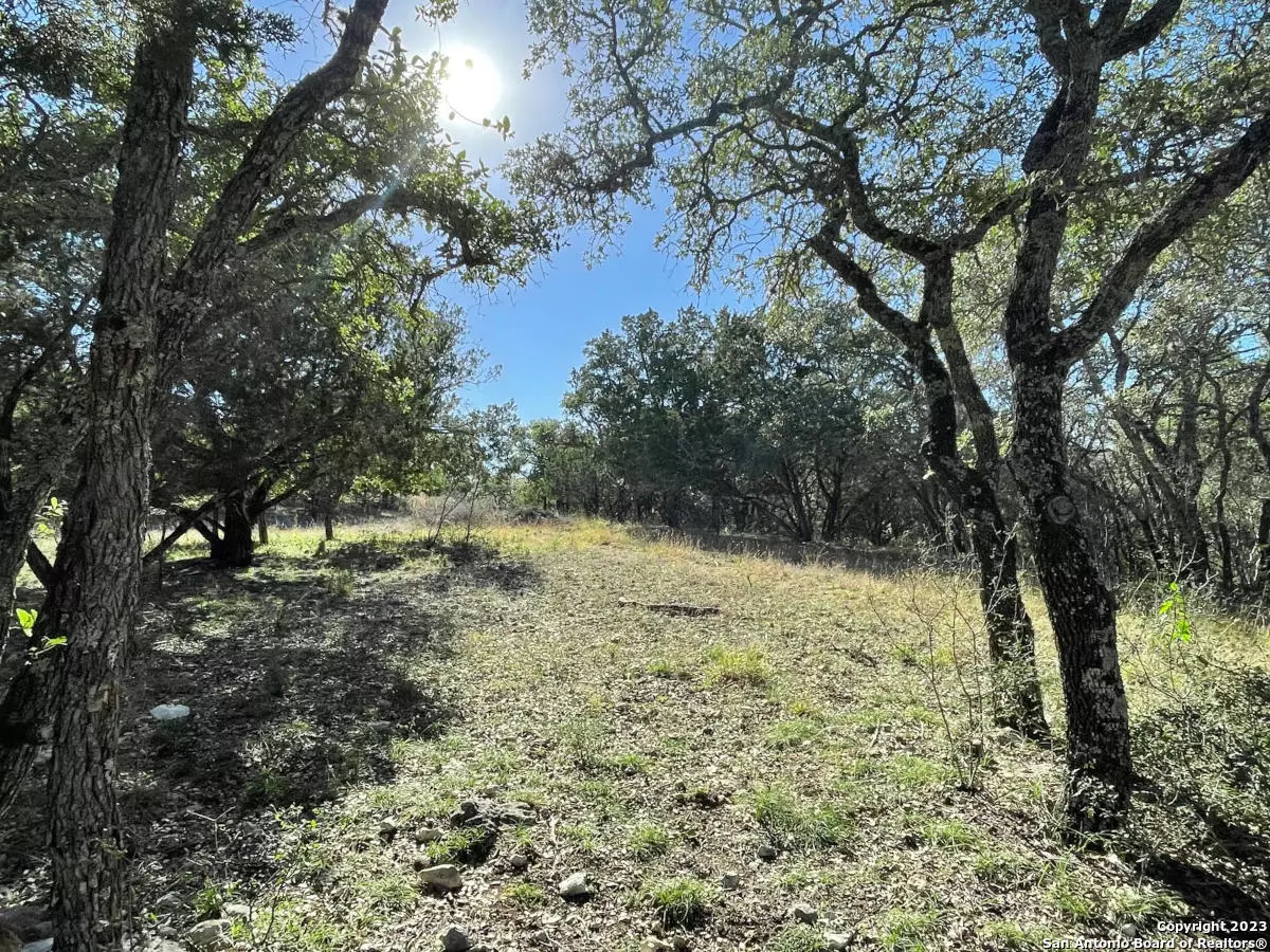 Bandera, TX 78003,LOT 361 PALOMINO SPGS