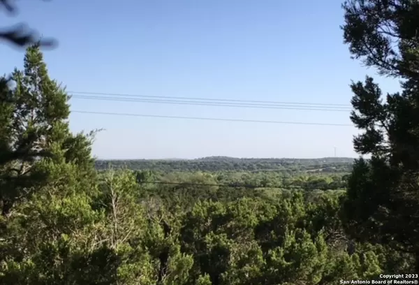 Spring Branch, TX 78070,139 Lipizzan Ln