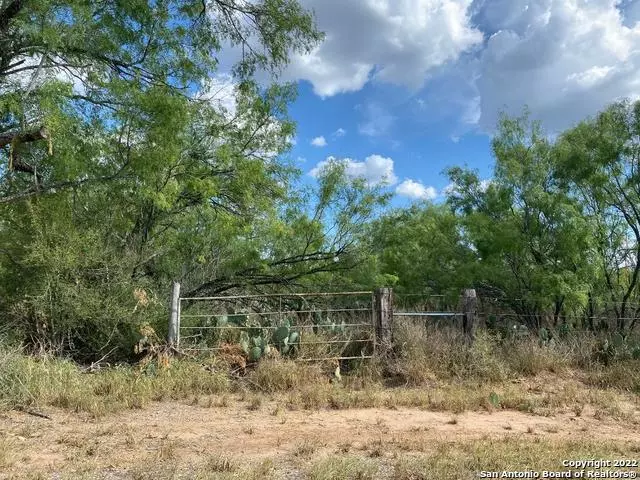 Christine, TX 78012,LOTS 3607-3611 AVENUE L