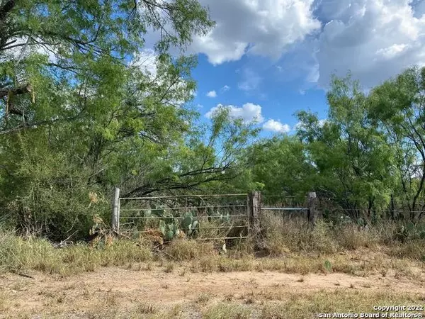 Christine, TX 78012,LOTS 3607-3611 AVENUE L