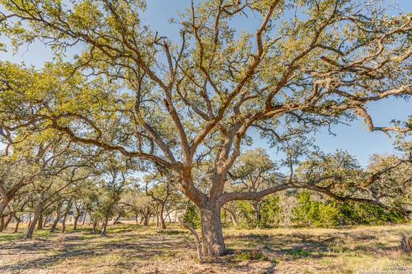 34824 Thanksgiving Trail,  Bulverde,  TX 78163