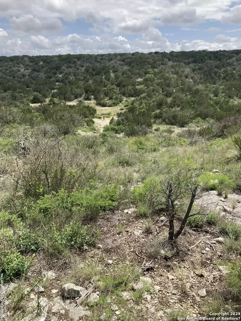 Brackettville, TX 78832,LOT 28 AND 40 LEONA RANCH