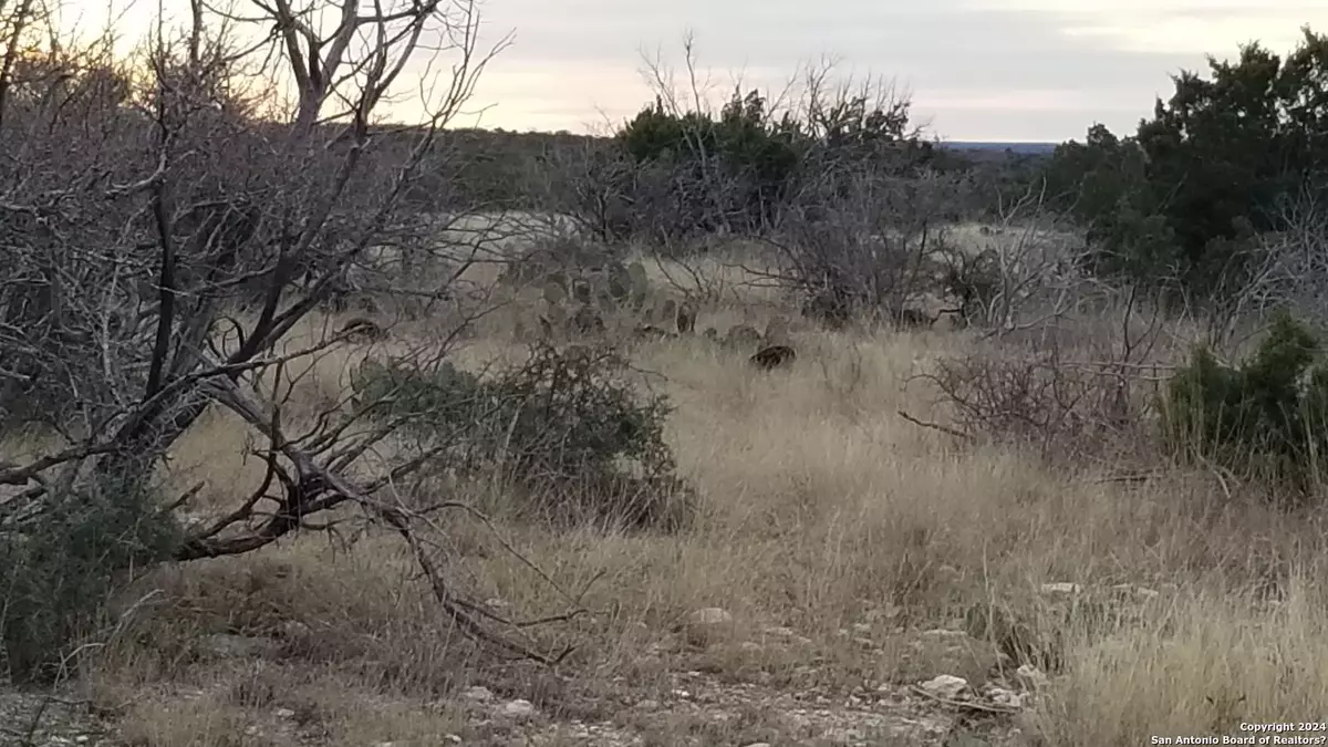 Comstock, TX 78837,TBD Brando Road