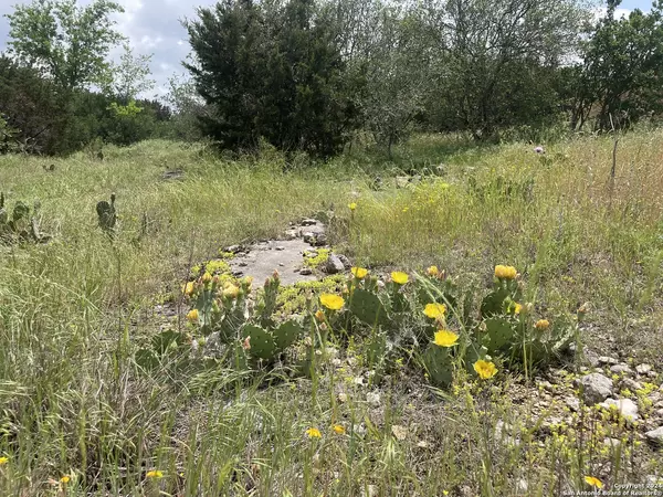 Boerne, TX 78006,LOT 33 Spalten Ridge