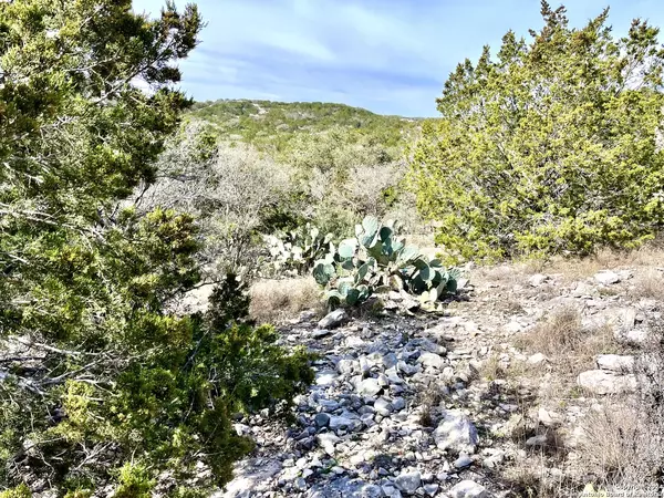 Rocksprings, TX 78880,0 SD63538