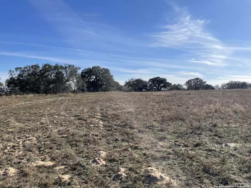 LOT #35 10.19AC FM 7755, Devine, TX 78016