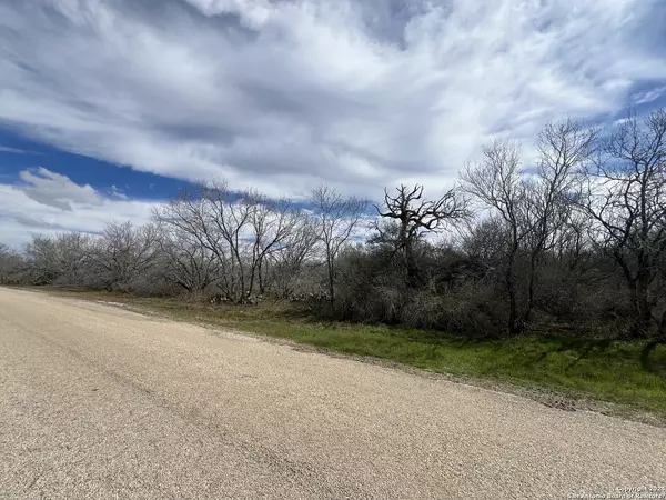 Floresville, TX 78114,123 COUNTRY VIEW LN