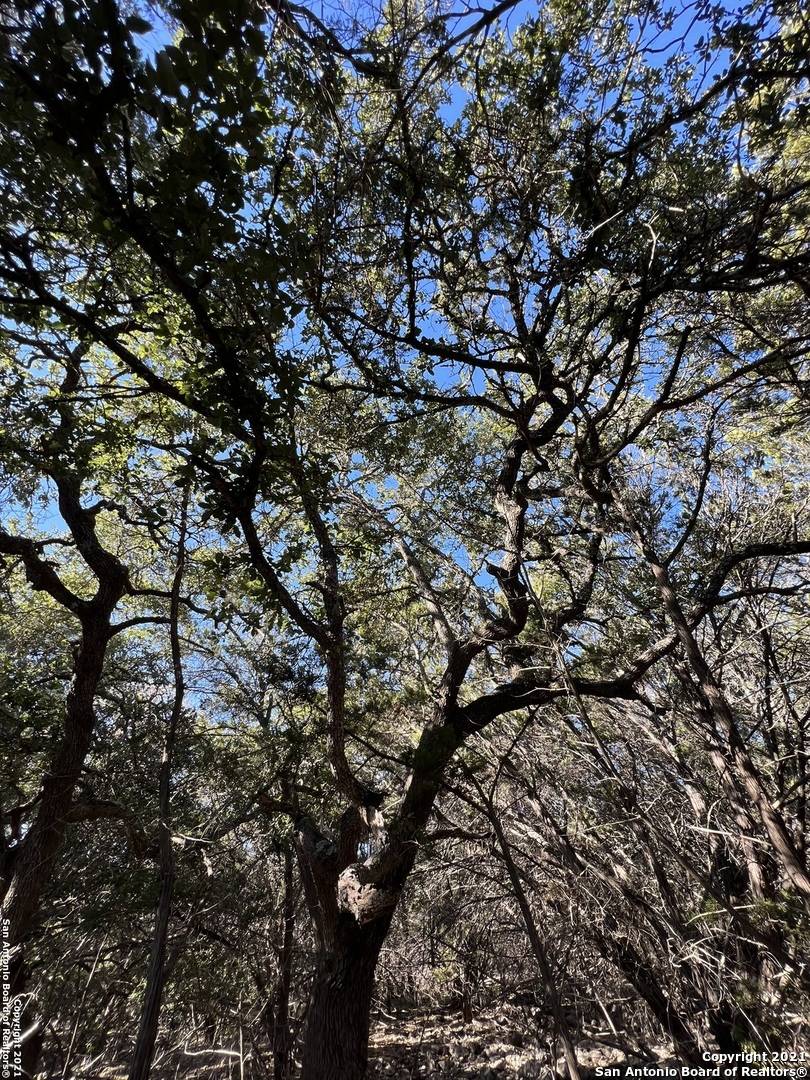 Spring Branch, TX 78070,1433 GREEN MEADOW LN