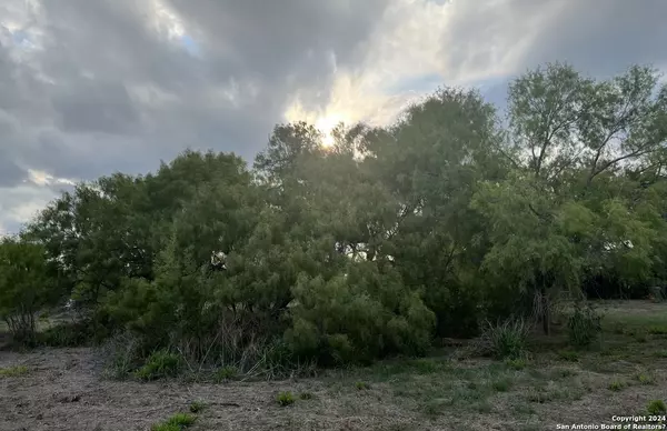 Jourdanton, TX 78026,707 Deer Trail
