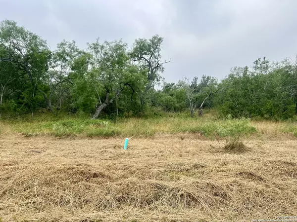 Smiley, TX 78159,LOT 6 Wisteria Lane