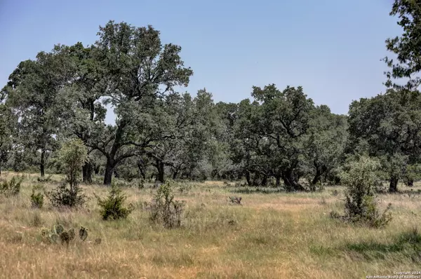 Mountain Home, TX 78058,1260 Bobby Shelton Ranch Rd