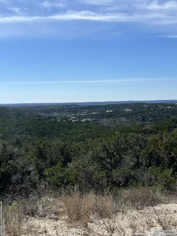 Mico, TX 78056,PR 2771 Lot 1 Unit 4