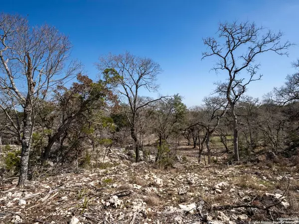 Boerne, TX 78006,LOT 13 Cielo Vista